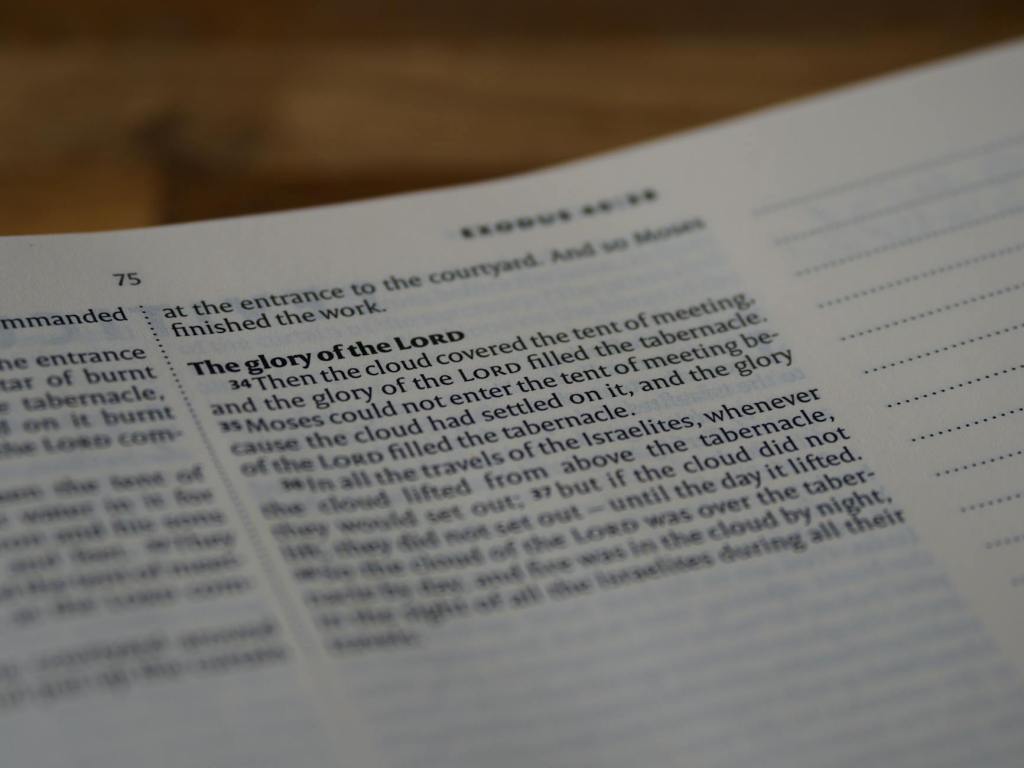 The children of God are&nbsp;peacemakers