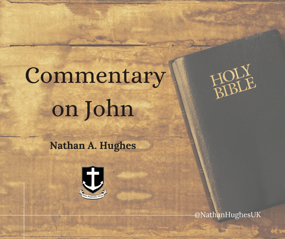 Commentary on John&nbsp;8