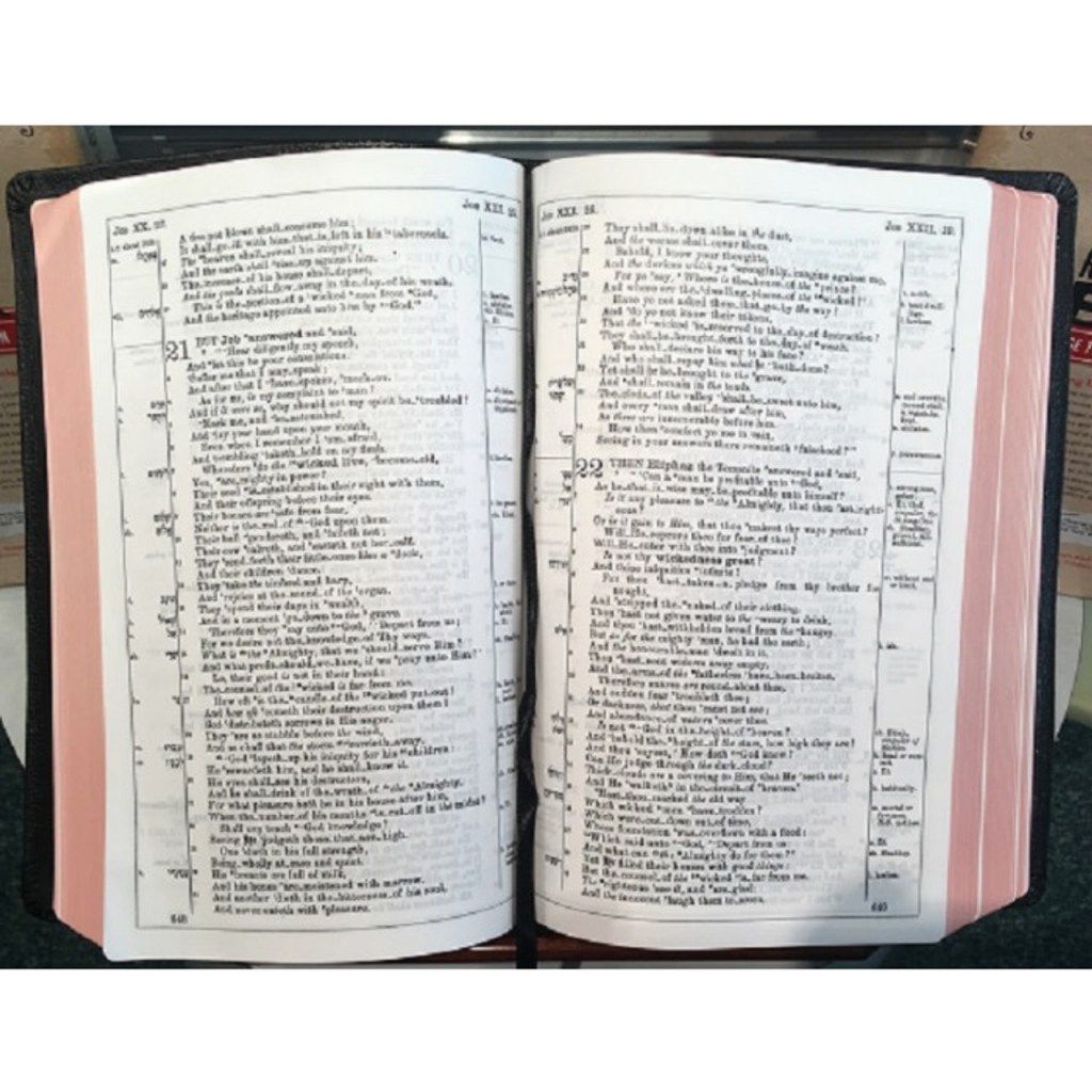 The Newberry Bible: An&nbsp;Overview