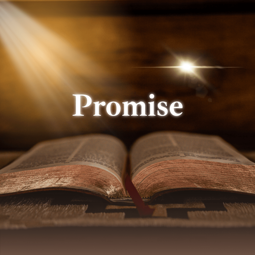 The Dispensation of&nbsp;Promise